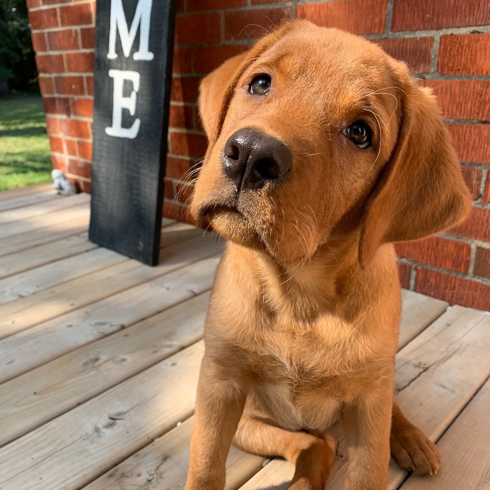 Meet your Posher, Tori